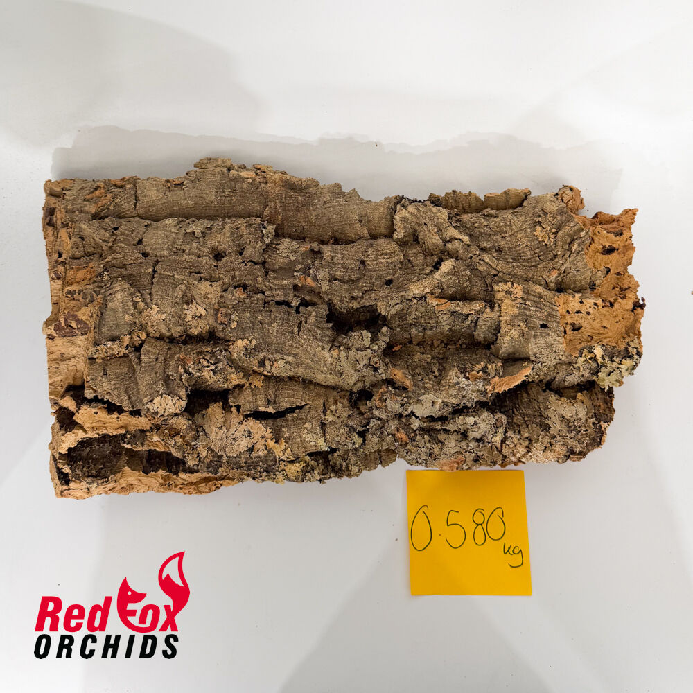 Portuguese Cork