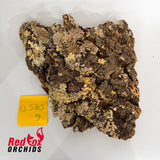 Portuguese Cork