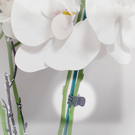Orchid Clip