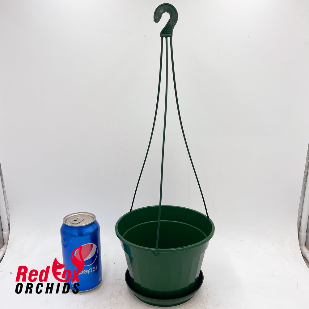170mm Jade Hanging Pot complete with Hanger and Saucer