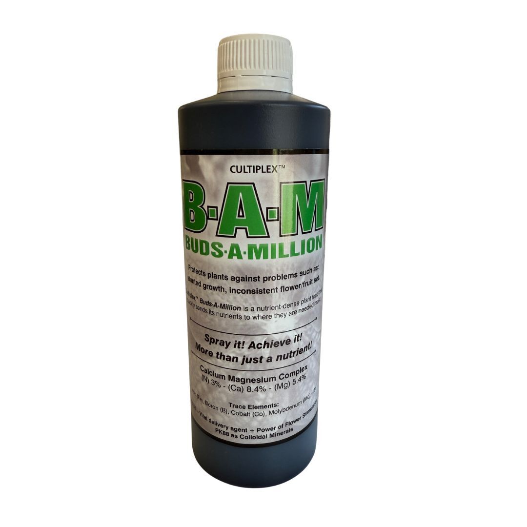 BAM Buds a Million by Cultiplex