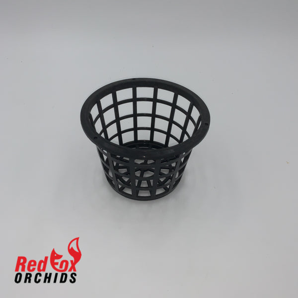 Port Stanhopea Basket 100mm