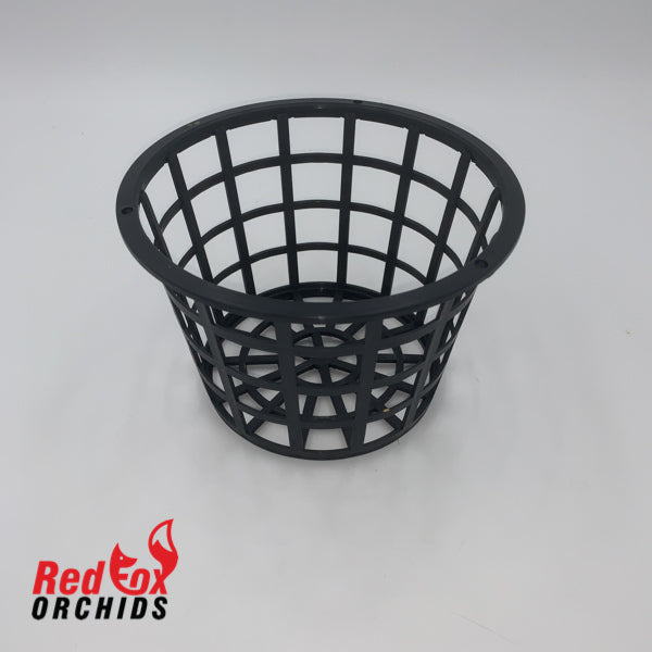 Port Stanhopea Basket 150mm