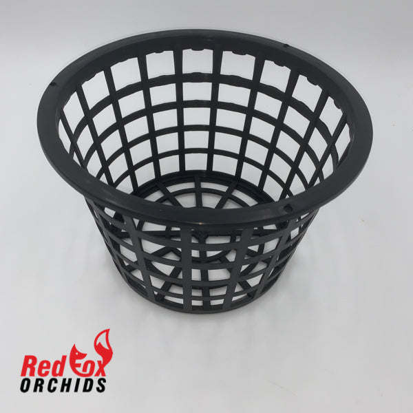 Port Stanhopea Basket 200mm