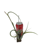 Tillandsia intermedia