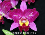 Rhyncatlaelia Ching Sun Smile '#3'